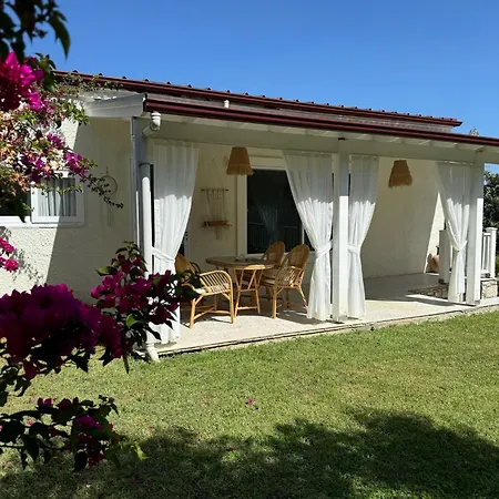 Casa Del Olivia Villa