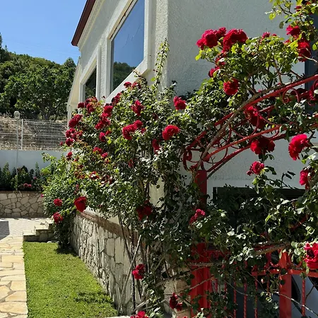 Casa Del Olivia וילה ספריהיסאר