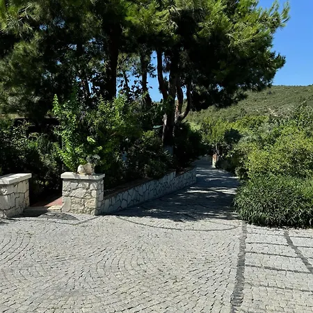 Casa Del Olivia Villa