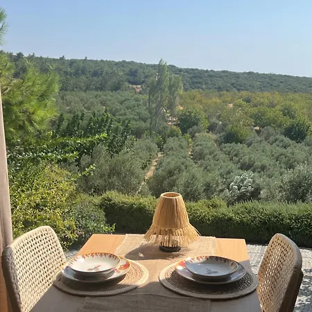 וילה Casa Del Olivia