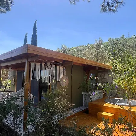 Vila Casa Del Olivia