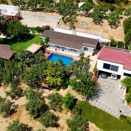 Casa Del Olivia * セェフェリヒサール