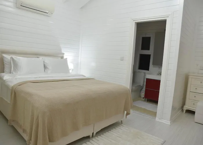 Vila Casa Del Olivia *