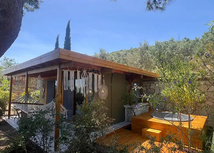 Villa Casa Del Olivia