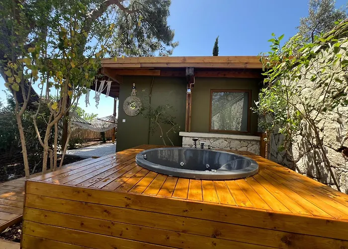 Vila Casa Del Olivia *