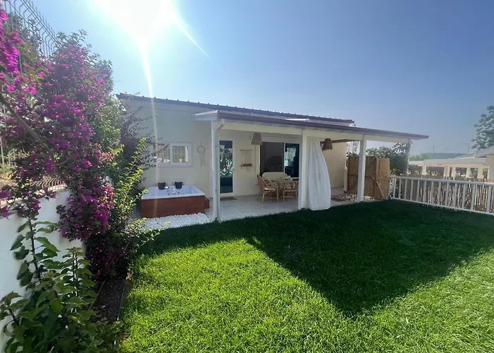 Casa Del Olivia Vila