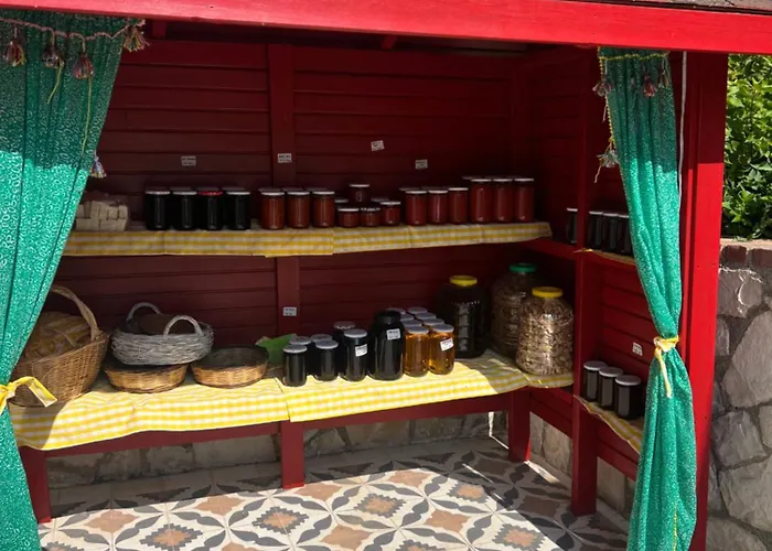 Vila Casa Del Olivia