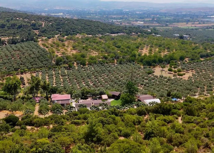 Casa Del Olivia Seferihisar