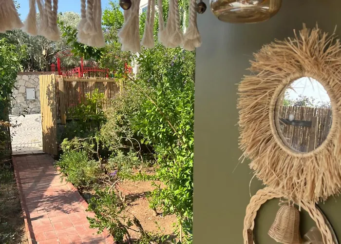 Casa Del Olivia Villa