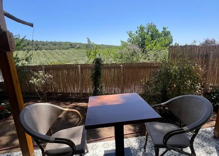 Villa Casa Del Olivia *