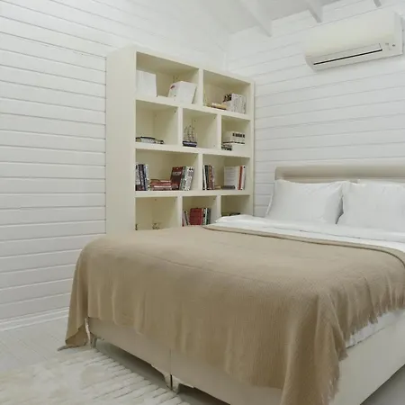 Casa Del Olivia Willa