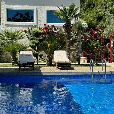 Casa Del Olivia فيلة *