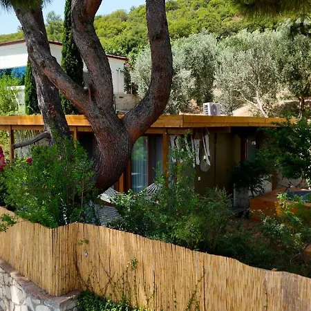 Casa Del Olivia * سفيريهيسار