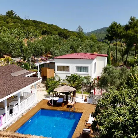 Casa Del Olivia Vilă