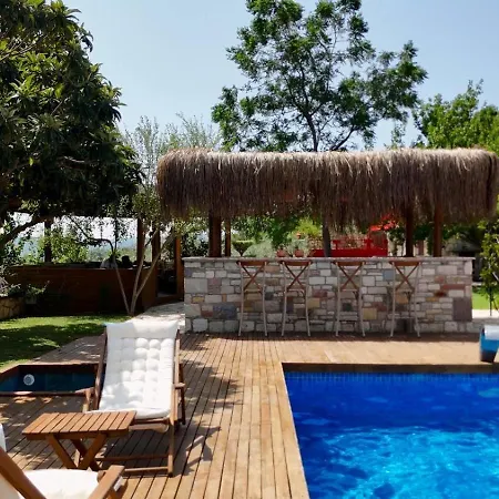 Casa Del Olivia *