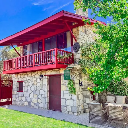 Casa Del Olivia Villa