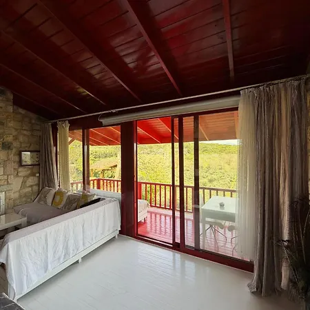 Villa Casa Del Olivia *