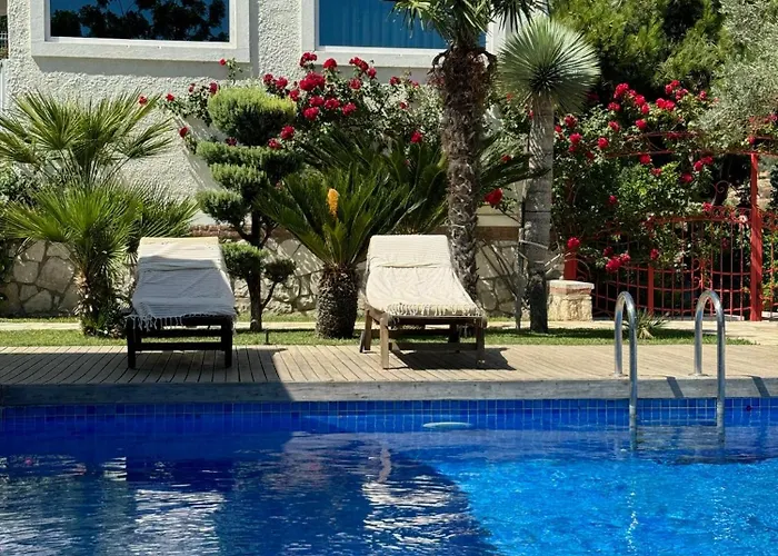 Casa Del Olivia Vilă *