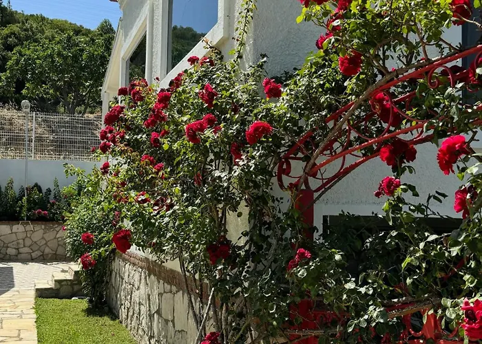 Casa Del Olivia Vilă Seferihisar