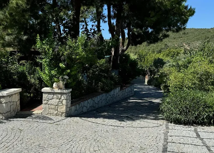 Casa Del Olivia Vilă