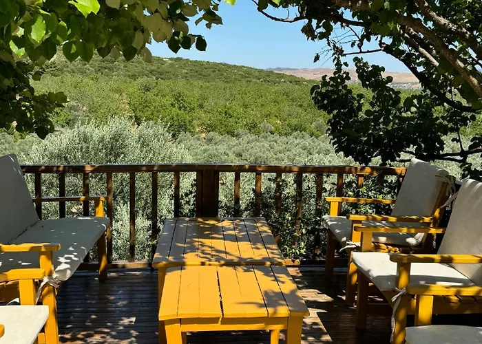 Vilă Casa Del Olivia *