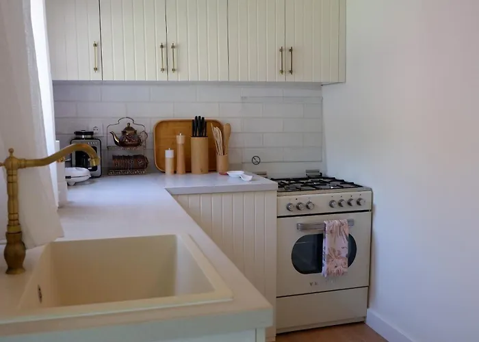 Vilă Casa Del Olivia