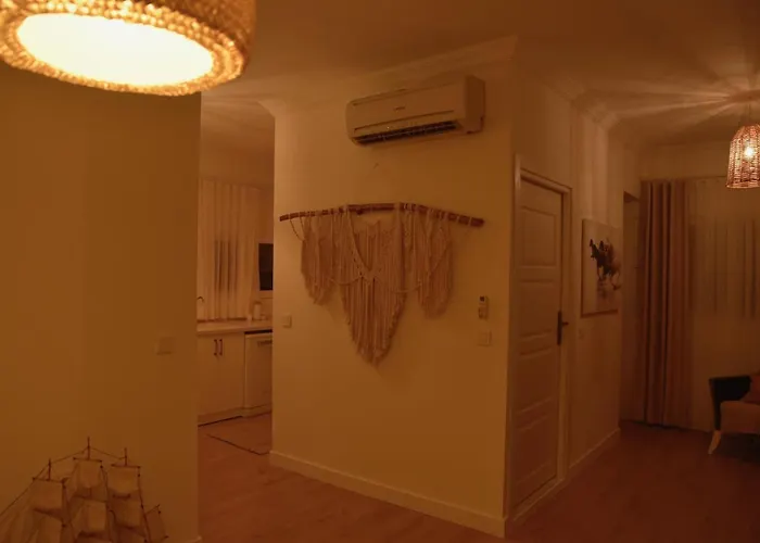 Casa Del Olivia Vilă *