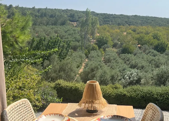 Vilă Casa Del Olivia