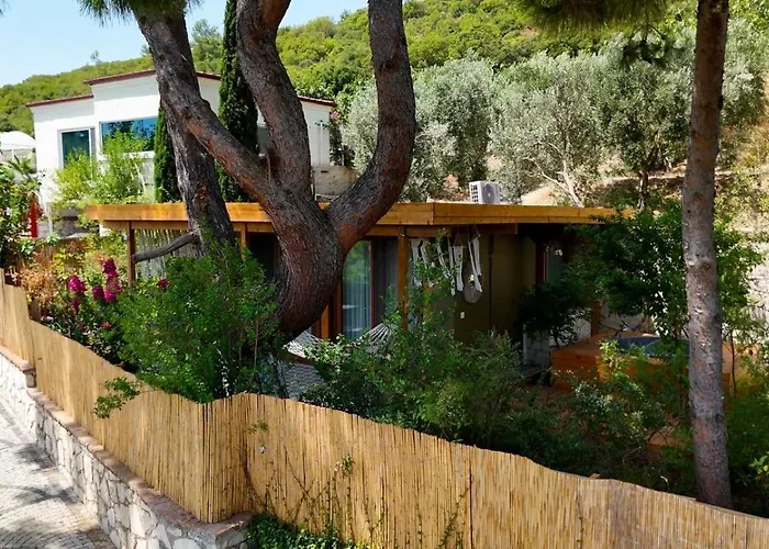 Casa Del Olivia * Seferihisar