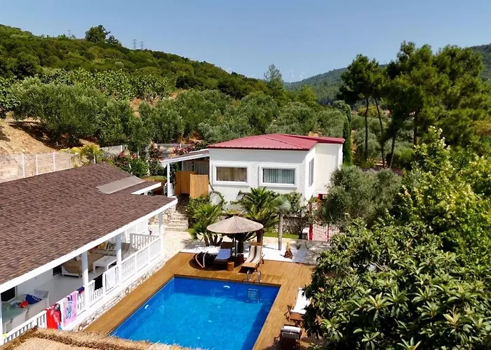 Casa Del Olivia Vilă