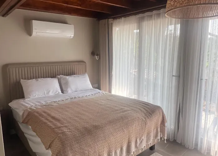 Casa Del Olivia *