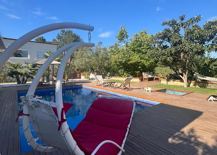 Casa Del Olivia Vilă