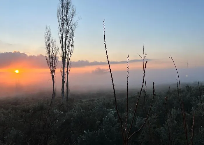 Casa Del Olivia Vilă Seferihisar
