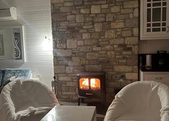 Vilă Casa Del Olivia