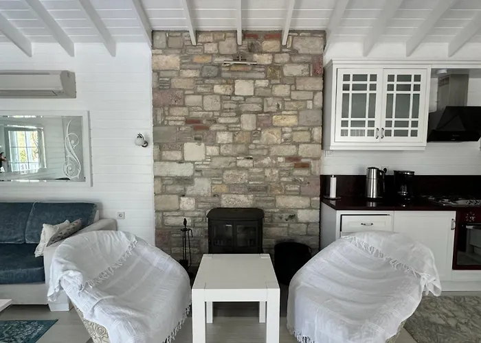 Vilă Casa Del Olivia