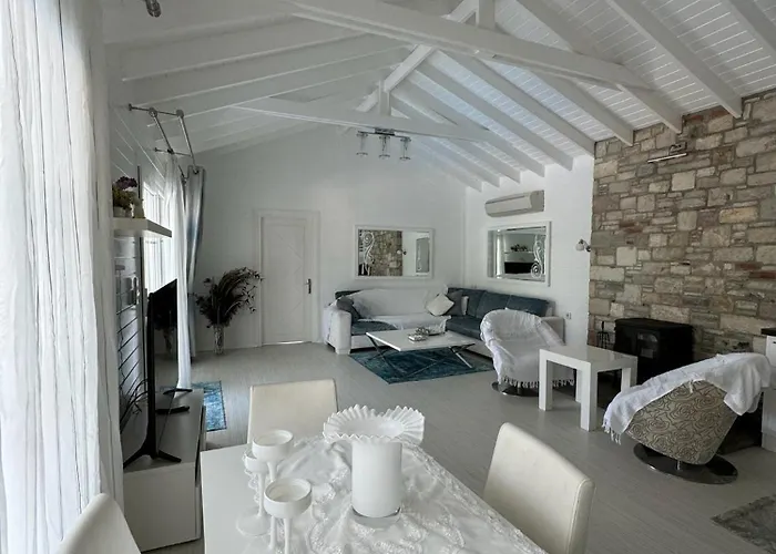 Casa Del Olivia Vilă *